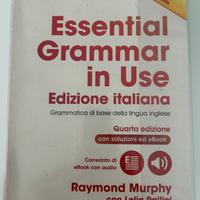 Essential grammar in use