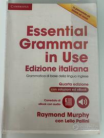 Essential grammar in use
