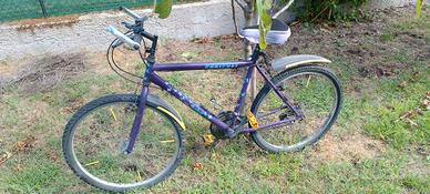 Bicicletta uomo 27