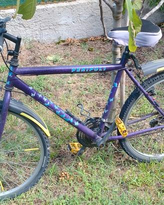 Bicicletta uomo 27