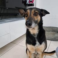 Solo persone interessate seriamente