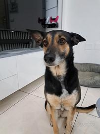 Solo persone interessate seriamente