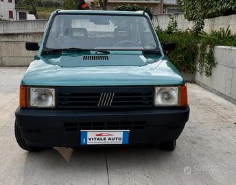 Fiat 1100 i.e. cat Young