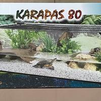 Tartarughiera Karapas 80 - acquario shallow