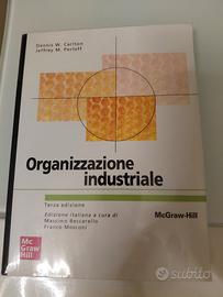 organizzazione industriale