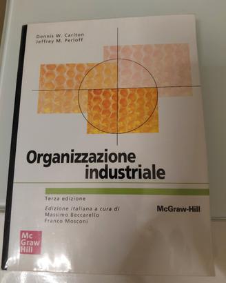 organizzazione industriale