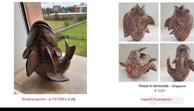 Pesce in terracotta