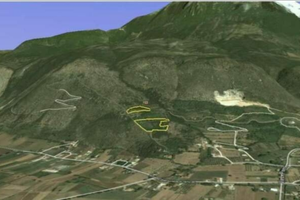 Terreno agricolo zona collinare: Uliveto + bosco