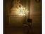 Immagine 29