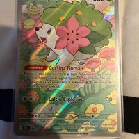 Pokemon Shaymin Illustrazione Rara (IT)