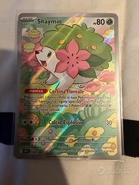 Pokemon Shaymin Illustrazione Rara (IT)