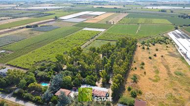 Aprilia (LT) - Az. Agrituristica di 12 HA | AZ400