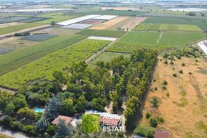 Aprilia (LT) - Az. Agrituristica di 12 HA | AZ400