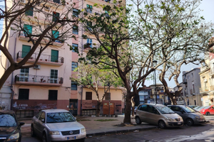 Trivani zona via plebiscito