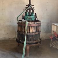 Torchio per uva