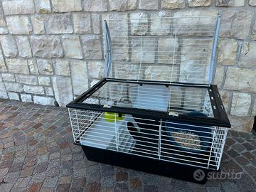 Gabbia conigli nani