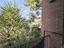 Immagine 10
