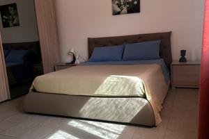 Disponibile da marzo a giugno