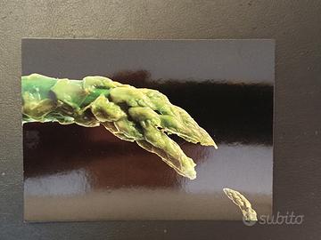 Cartolina Armando Testa '90