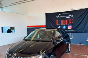 Skoda Fabia 1.4 TDI 90 CV Business