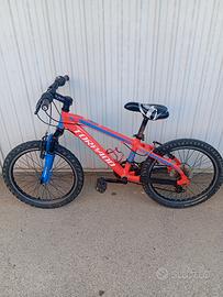 bici bambino mtb mountainbike torpado 