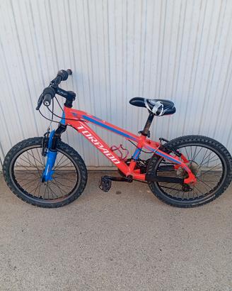bici bambino mtb mountainbike torpado 