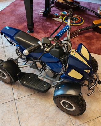Miniquad a benzina