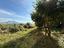 Immagine 16