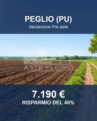Immobile in asta di 5816 m² a Peglio