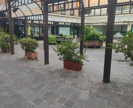Negozio P.za Santa Maria 4 Busto Arsizio