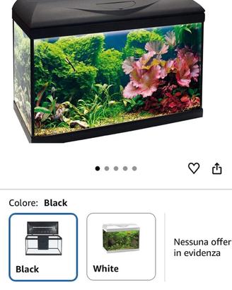 Acquario