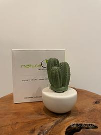 Diffusore cactus Natura Oggi