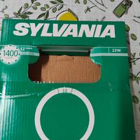 Tubo circolare fluorescente neon