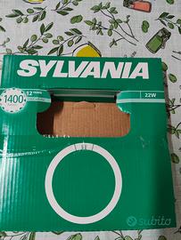 Tubo circolare fluorescente neon