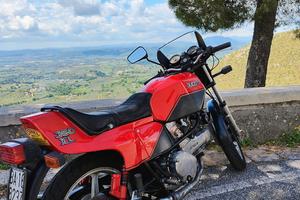 Ducati Pantah 350XL - FMI +ASI 