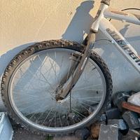 Bicicletta