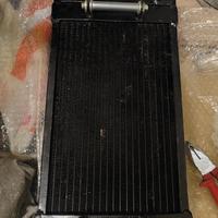 Radiatore kart 