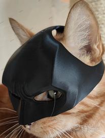 Maschera Batman per gatto