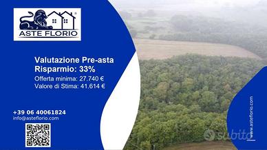 Immobile in asta di 1106 m² a Castel Giorgio