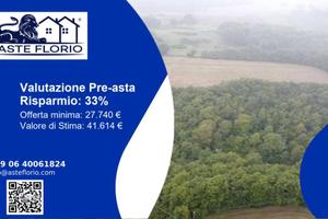 Immobile in asta di 1106 m² a Castel Giorgio