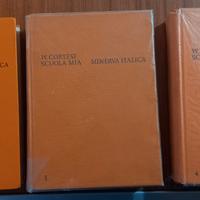 Guida didattica Scuola Primaria 