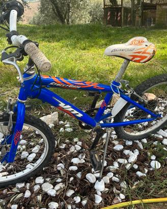 bicicletta bambino