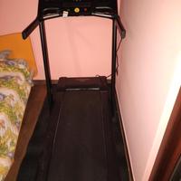 Tapirulan professionale 