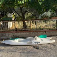 Canoa penguin con pagaia in alluminio