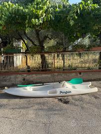 Canoa penguin con pagaia in alluminio