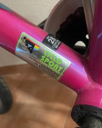 Bici bambina 28