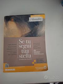 Se tu segui la tua stella 3b