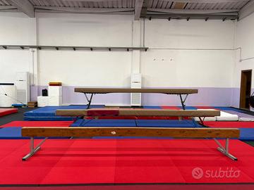 Trave Ginnastica Artistica e Palla Yoga