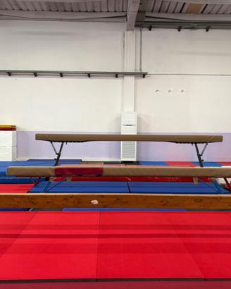 Trave Ginnastica Artistica e Palla Yoga