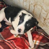 Elba: 3 mesi taglia contenuta